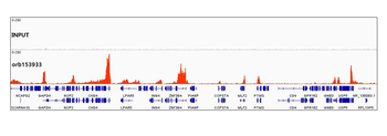 DiMethyl-Histone H3-K79 antibody