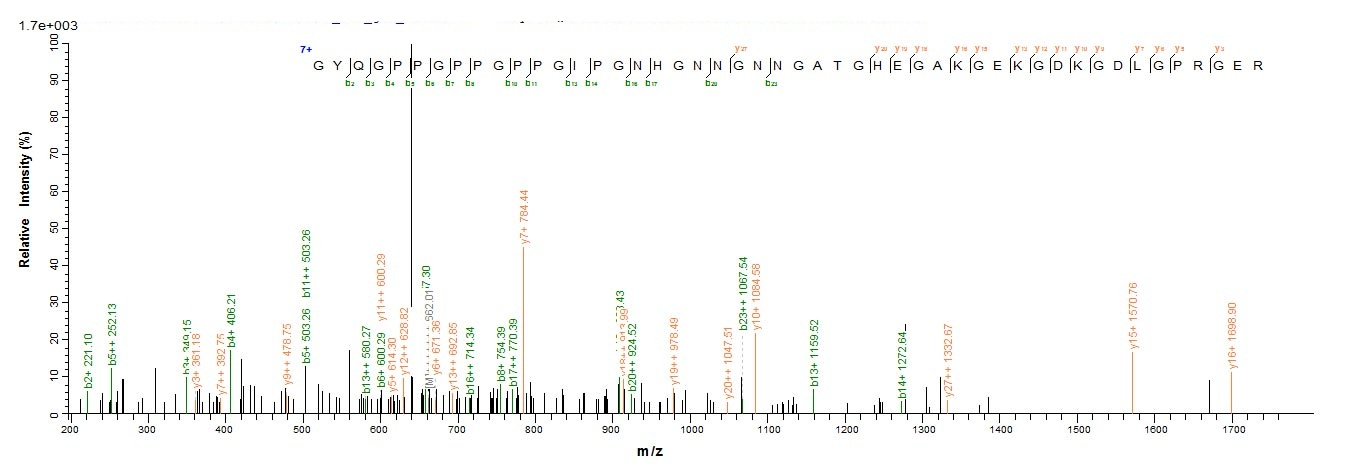 Mouse C1qtnf3 protein