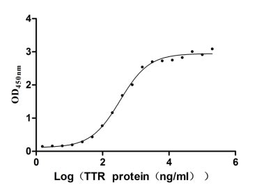 Human Transthyretin protein