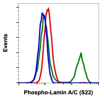 Phospho-Lamin A/C (Ser22) (CF12) rabbit mAb Antibody