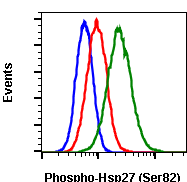 Phospho-HSP27 (Ser82) (CB2) rabbit mAb Antibody