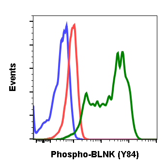 Phospho-BLNK (Tyr84) (H4) rabbit mAb Antibody