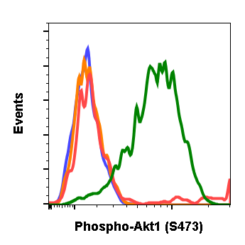 Phospho-Akt1 (Ser473) (B9) rabbit mAb Antibody
