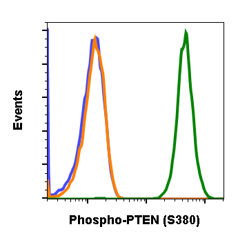 Phospho-PTEN (Ser380) (NA9) rabbit mAb Antibody
