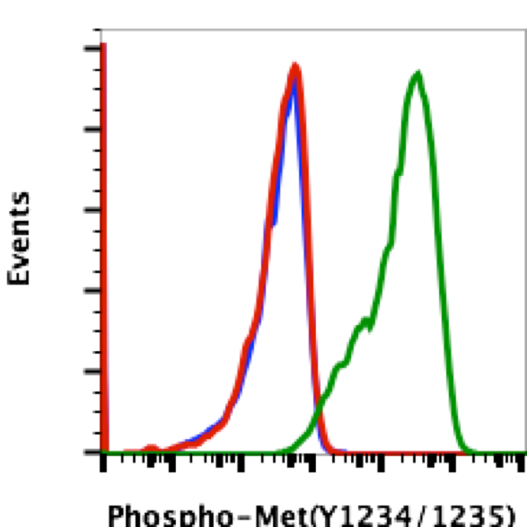 Phospho-MET (Tyr1234/1235) (6F11) rabbit mAb Antibody