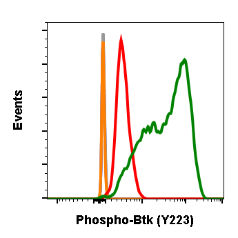 Phospho-Btk (Tyr223) (B4) rabbit mAb Antibody