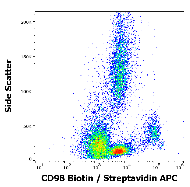 CD98 antibody (Biotin)