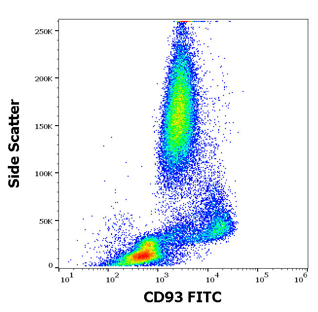 CD93 antibody (FITC)