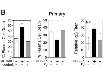 Human IgG Fc Antibody