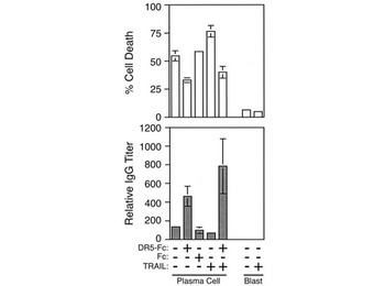 Human IgG Fc Antibody