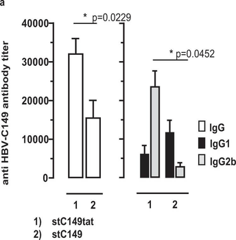 Mouse IgG2b (Gamma 2b chain) antibody (Peroxidase)