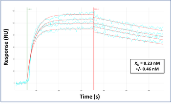 MTTP antibody