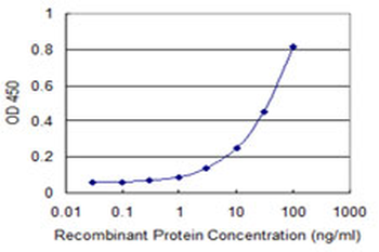 ADPGK monoclonal antibody (M01), clone 1E4