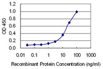 CUX2 monoclonal antibody (M03), clone 2H8