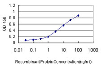 KIF2C monoclonal antibody (M01), clone 1G2