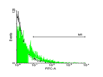 STIP1 monoclonal antibody (M35), clone 2E11