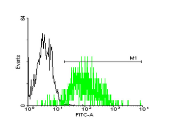 STIP1 monoclonal antibody (M35), clone 2E11