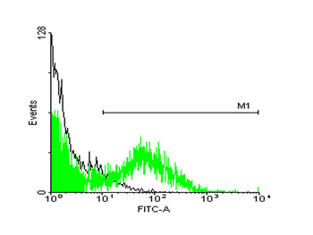 STIP1 monoclonal antibody (M35), clone 2E11