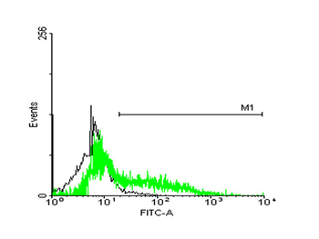 STIP1 monoclonal antibody (M35), clone 2E11