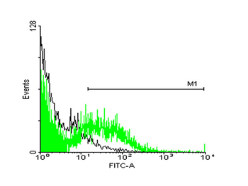 STIP1 monoclonal antibody (M35), clone 2E11