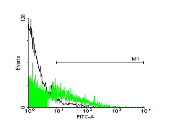 STIP1 monoclonal antibody (M33), clone 2E1