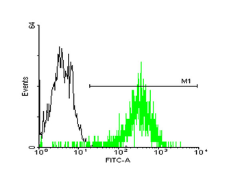 STIP1 monoclonal antibody (M33), clone 2E1