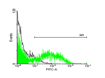 STIP1 monoclonal antibody (M33), clone 2E1