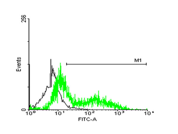 STIP1 monoclonal antibody (M33), clone 2E1