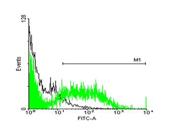 STIP1 monoclonal antibody (M33), clone 2E1