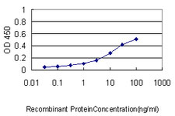 CCT7 monoclonal antibody (M01), clone 1D6