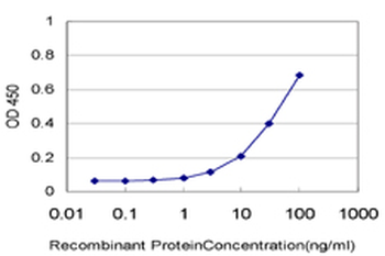 BATF monoclonal antibody (M01), clone 8A12