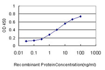 SAE1 monoclonal antibody (M01), clone 1G4-1G5