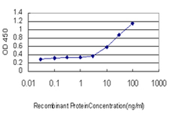 CLIC3 monoclonal antibody (M02), clone 3F8