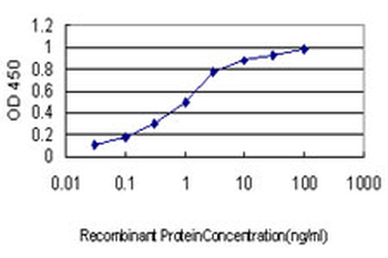 ARID3A monoclonal antibody (M01), clone 1A11