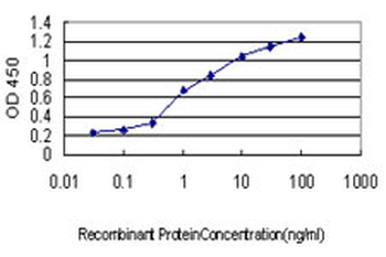 CRX monoclonal antibody (M02), clone 4G11