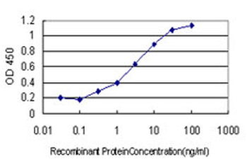 CDX2 monoclonal antibody (M01), clone 1C7