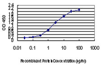 CDK8 monoclonal antibody (M03), clone 5H4