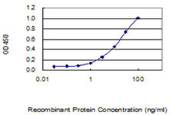 CDK6 monoclonal antibody (M01), clone 8H4