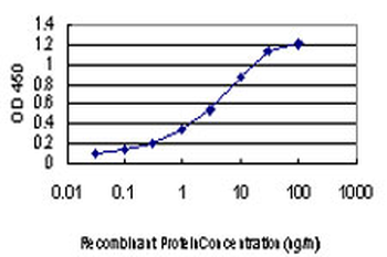 BUB1 monoclonal antibody (M02), clone 2F9