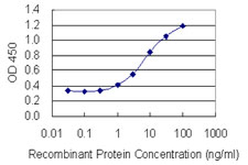 BNIP2 monoclonal antibody (M02), clone 8C6