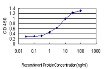 BAG1 monoclonal antibody (M02), clone 2D3