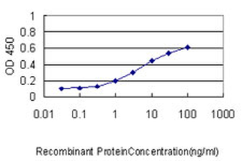 ARF5 monoclonal antibody (M01), clone 1B4