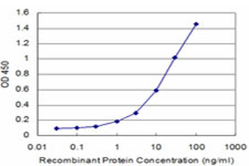 AKT2 monoclonal antibody (M06), clone X1