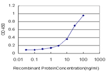 ACTB monoclonal antibody (M01), clone 3G4-F9