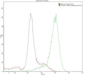 Multi-rAb CoraLite Plus 594-Goat Anti-Rabbit Recombinant Secondary Antibody (H+L)