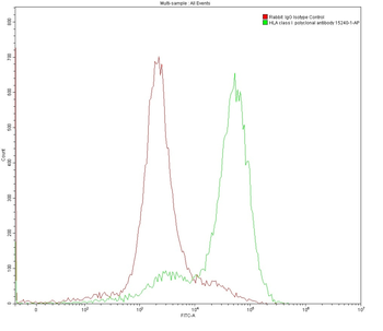 Multi-rAb CoraLite Plus 488-Goat Anti-Rabbit Recombinant Secondary Antibody (H+L)