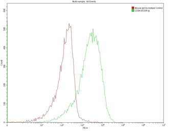 Multi-rAb CoraLite Plus 555-Goat Anti-Mouse Recombinant Secondary Antibody (H+L)