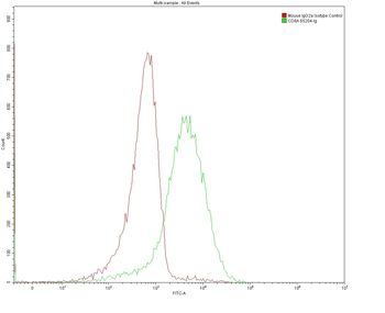 Multi-rAb CoraLite Plus 488-Goat Anti-Mouse Recombinant Secondary Antibody (H+L)