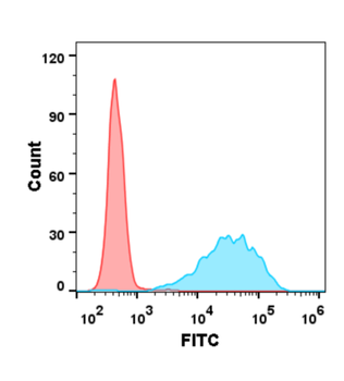 CD47 Antibody