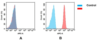 CD47 Antibody